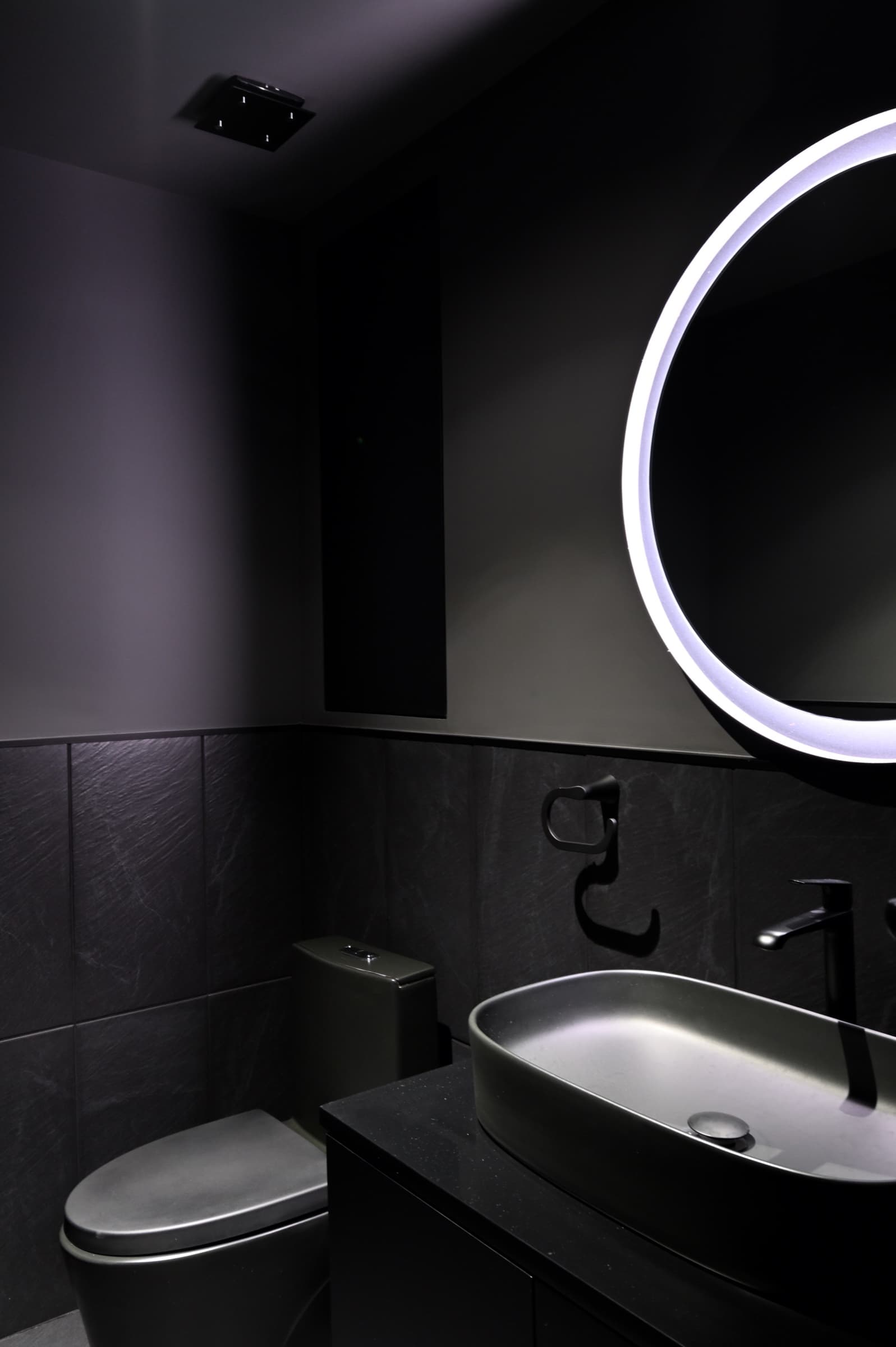 Sanitario en tonos negros